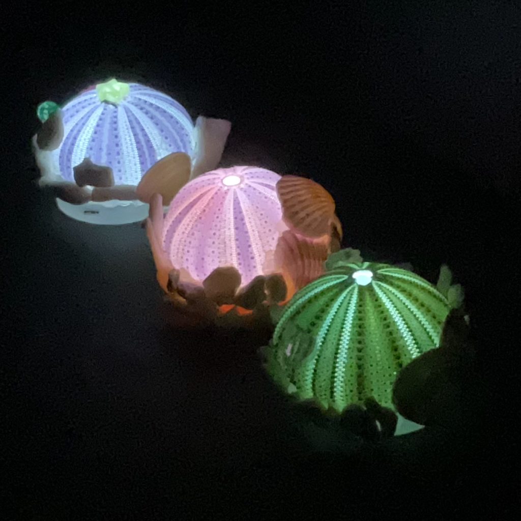 ウニランプとスーパーボール作り体験